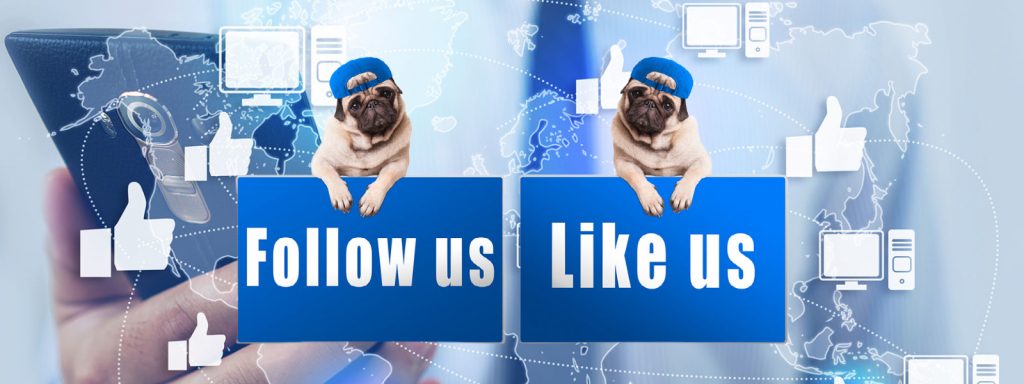 Facebook posts are important like these pugs showing signs that say "Follow us" and "Like us". The background image is a map of the world with thumbs up icons all over it.