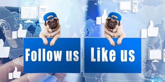 Facebook posts are important like these pugs showing signs that say "Follow us" and "Like us". The background image is a map of the world with thumbs up icons all over it.